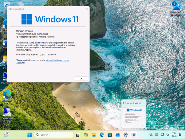 The default Thumbnail mode shows a live preview of the window instead. 
